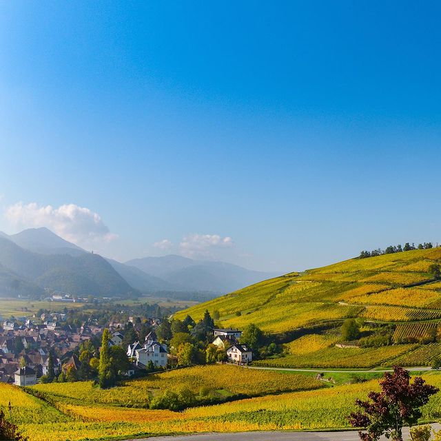 Bonjour Alsace | À propos