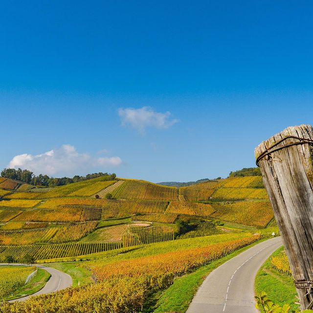 Bonjour Alsace | À propos
