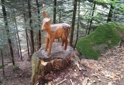 Le sentier des merveilles