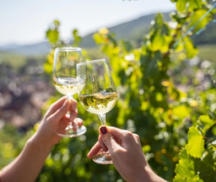 Dégustation de vins