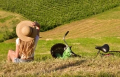Balade dans les vignes - Bonjour Alsace