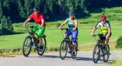 Location VTT électrique - Bonjour Alsace