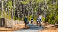 Activité plein air - Bonjour Alsace
