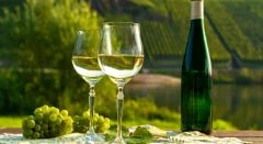 Dégustation de vins - Bonjour Alsace