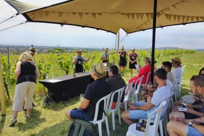 ALBE #2 - Atelier Tournée des Terroirs - Influence du terroir sur le vin - Bonjour Alsace