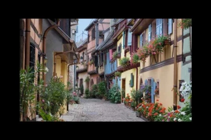 Alsace village and wine private group tour from Colmar - Bonjour Alsace