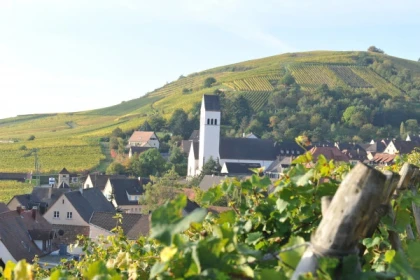 Apéro Planchette Alsacien et les secrets du vigneron ! - Bonjour Alsace