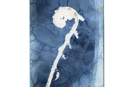 Atelier artistique - Impression au Cyanotype - Bonjour Alsace