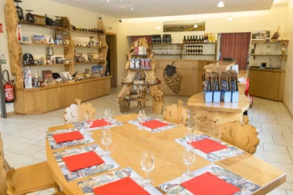 Atelier Découverte des Vins d'Alsace et Visite de Cave - Bonjour Alsace