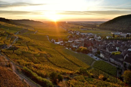 Balade dans le Schlossberg et dégustation de vins de terroirs - Bonjour Alsace