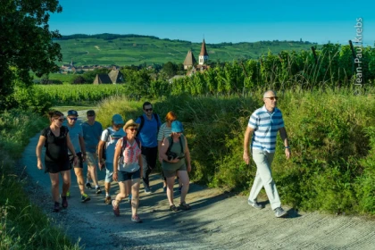 Balade gourmande au cœur du Vignoble - Bonjour Alsace