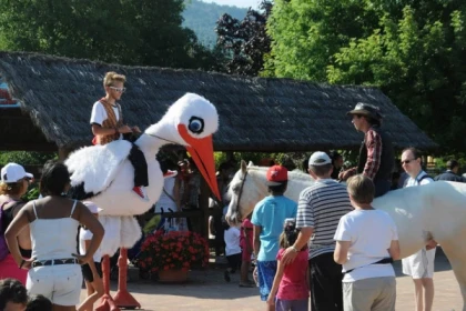 Billet d'entrée Cigoland - Bonjour Alsace