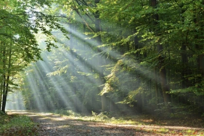 CHASSE AUX TRÉSORS DIGITALE À PIED OU À VÉLO - Bonjour Alsace