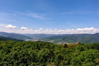 CHASSE AUX TRÉSORS WINTZENHEIM (À PIED) - Bonjour Alsace