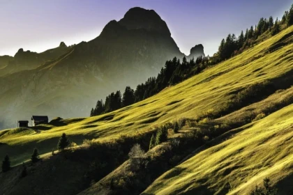 Coaching en ligne - Confiance en soi - Bonjour Alsace