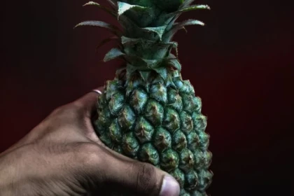 Cours en duo Parent - Enfant Fruits - Bonjour Alsace