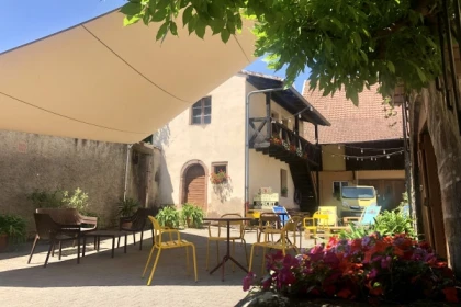 Découverte vigneronne : l'âme d'un domaine - Bonjour Alsace