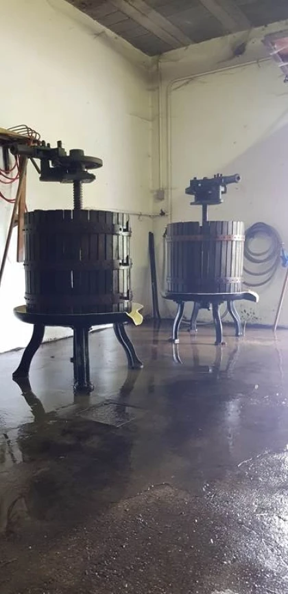 Découvrez les vins naturels et traditionnels - Bonjour Alsace