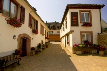 Dégustation biodynamique - Bonjour Alsace