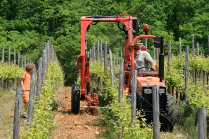 Dégustation biodynamique - Bonjour Alsace
