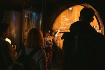 Dégustation de 5 vins et visite de cave Immersive - Bonjour Alsace
