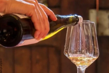 Dégustation Riesling d'Alsace et Terroirs - Bonjour Alsace