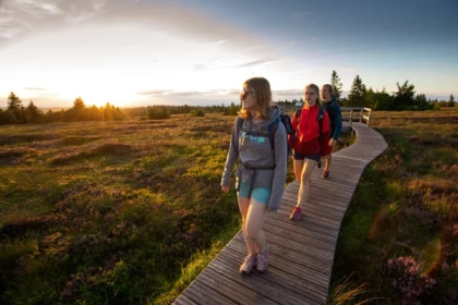 Éclipse Solaire en montagne : une randonnée guidée inédite - Bonjour Alsace