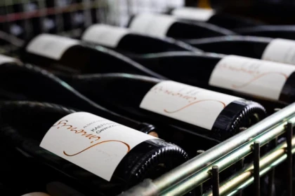 Initiation à l'art de la dégustation à Ammerschwihr - Bonjour Alsace