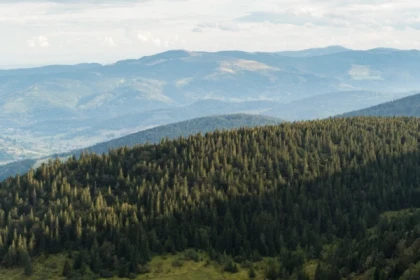 Journée randonnée sur les chaumes du Hohneck - Bonjour Alsace