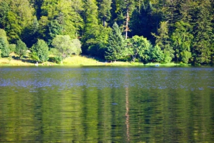 Journée raquettes à neige au Rothenbakopf - Bonjour Alsace