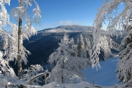 Le sommet du Brézouard - raquettes à neige - Bonjour Alsace
