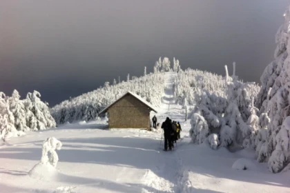 Le sommet du Brézouard - raquettes à neige - Bonjour Alsace