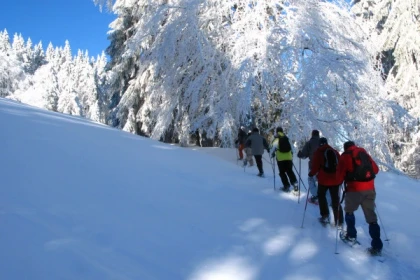 Le sommet du Brézouard - raquettes à neige - Bonjour Alsace