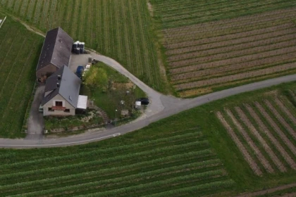 Vins Bio: Découverte et Dégustation avec les Vignerons! - Bonjour Alsace