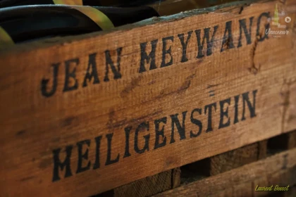 Les Sens du Vin - Bonjour Alsace
