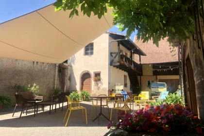 Les sens en folie : le vin à travers l'odorat et le goût - Bonjour Alsace