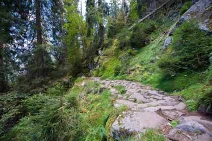 Micro aventure sentier des roches - Bonjour Alsace