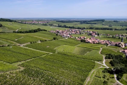NOTHALTEN #4 - Atelier Tournée des Terroirs - Zellberg un terroir marno-gréseux - Bonjour Alsace