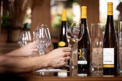 Parenthèse Vigneronne 'la biodynamie et l'expression sur le Kaefferkopf' - dégustation - Bonjour Alsace