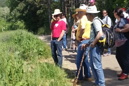 Pique-Nique chez le Vigneron Indépendant - Bonjour Alsace