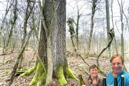 Rando-lyric - Bonjour Alsace