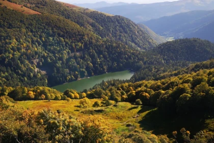 Randonnée à la découverte des animaux - Bonjour Alsace