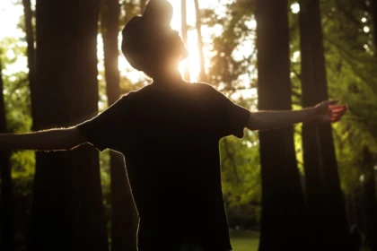 Randonnée et Qi Gong dans les Vosges - Bonjour Alsace