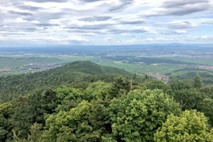 Randonnée guidée au Galtz, vue à 360° - Bonjour Alsace