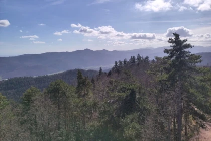 Randonnée guidée au Galtz, vue à 360° - Bonjour Alsace