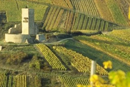 Randonnée médiévale - Bonjour Alsace