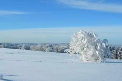 Raquettes à neige aux chaumes du Hohneck - Bonjour Alsace