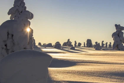 Raquettes à neige découverte du Gaschney - Bonjour Alsace