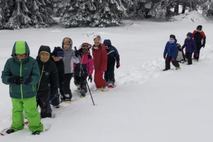 Raquettes à neige et descentes en luge - Bonjour Alsace