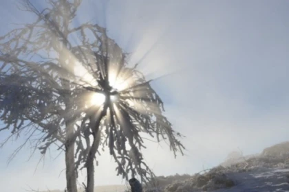 Raquettes à neige privative au Rouge Gazon - Bonjour Alsace